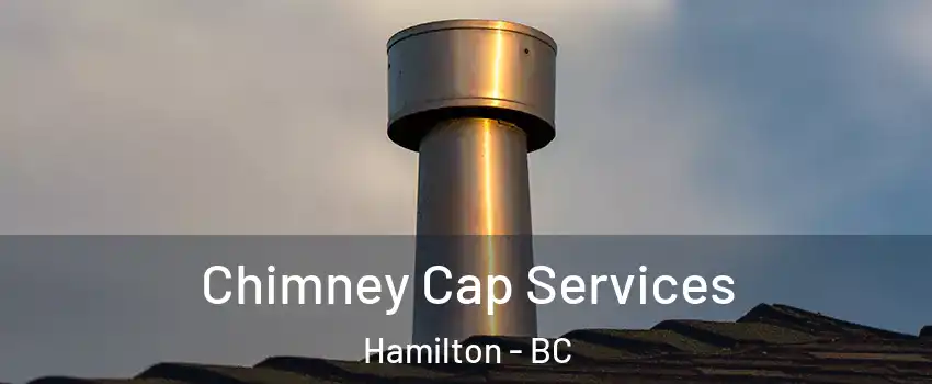 Chimney Cap Services Hamilton - BC