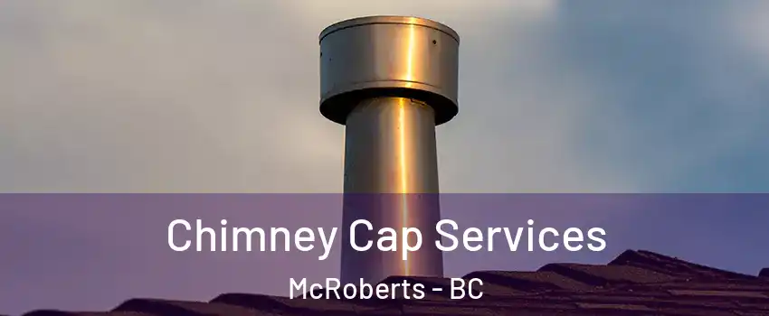  Chimney Cap Services McRoberts - BC