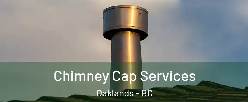  Chimney Cap Services Oaklands - BC