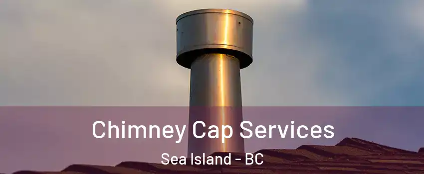  Chimney Cap Services Sea Island - BC