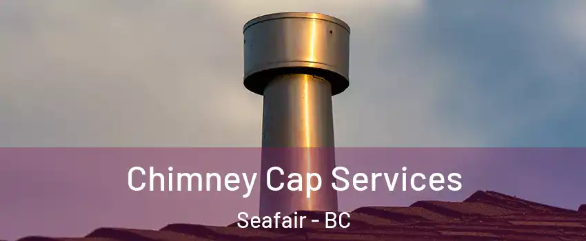  Chimney Cap Services Seafair - BC