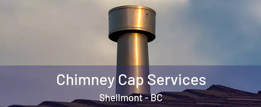  Chimney Cap Services Shellmont - BC