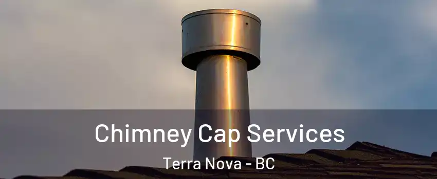  Chimney Cap Services Terra Nova - BC
