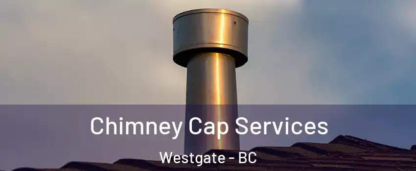  Chimney Cap Services Westgate - BC