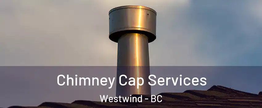  Chimney Cap Services Westwind - BC