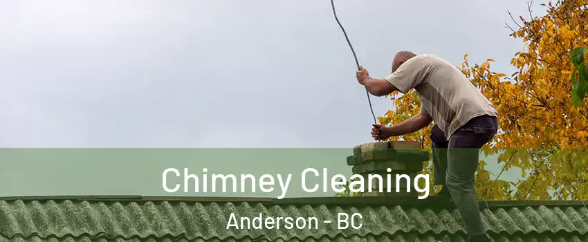  Chimney Cleaning Anderson - BC