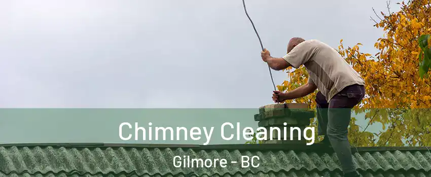  Chimney Cleaning Gilmore - BC