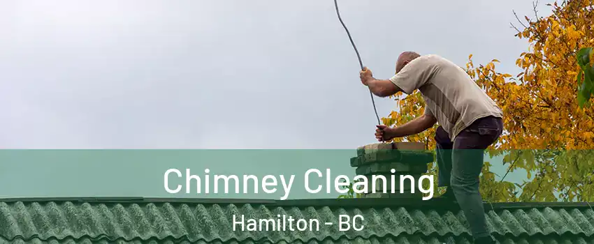  Chimney Cleaning Hamilton - BC