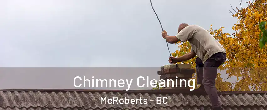  Chimney Cleaning McRoberts - BC
