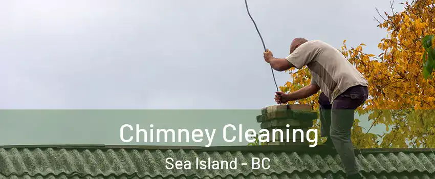  Chimney Cleaning Sea Island - BC