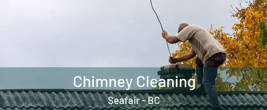  Chimney Cleaning Seafair - BC