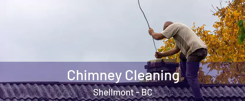  Chimney Cleaning Shellmont - BC