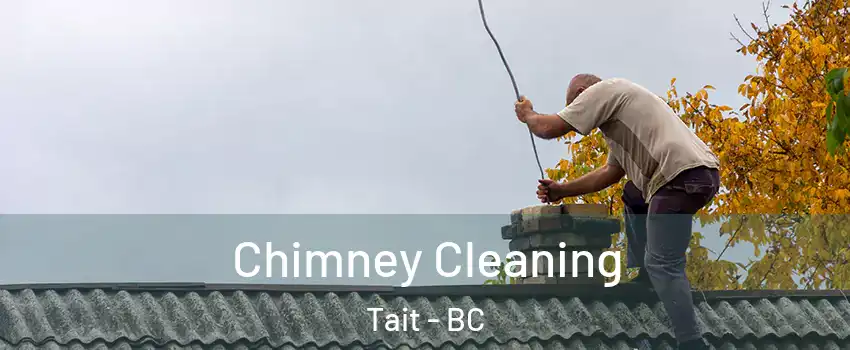 Chimney Cleaning Tait - BC