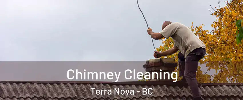  Chimney Cleaning Terra Nova - BC