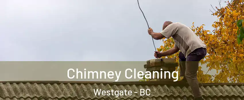 Chimney Cleaning Westgate - BC