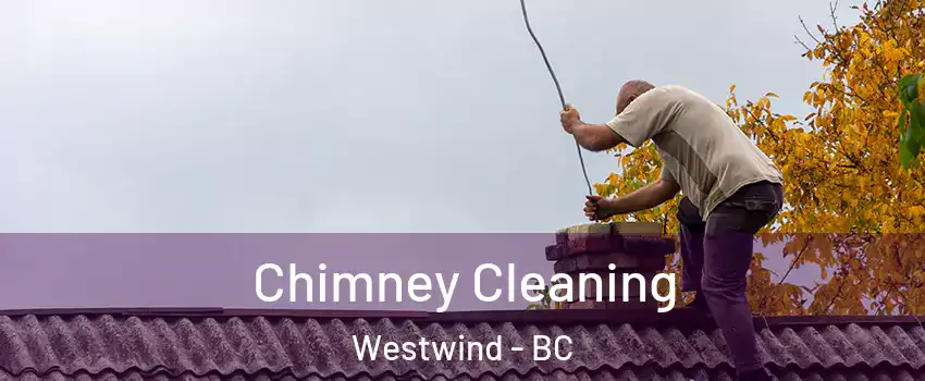  Chimney Cleaning Westwind - BC