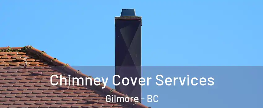  Chimney Cover Services Gilmore - BC