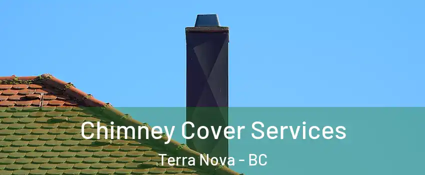  Chimney Cover Services Terra Nova - BC