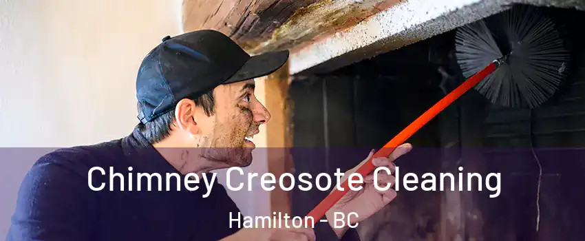  Chimney Creosote Cleaning Hamilton - BC