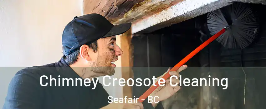  Chimney Creosote Cleaning Seafair - BC