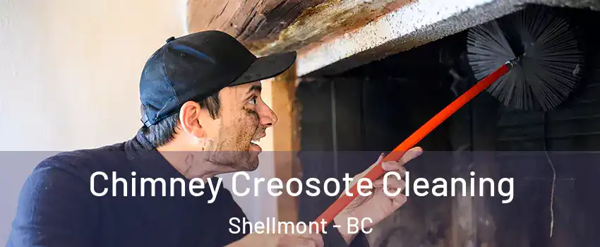  Chimney Creosote Cleaning Shellmont - BC