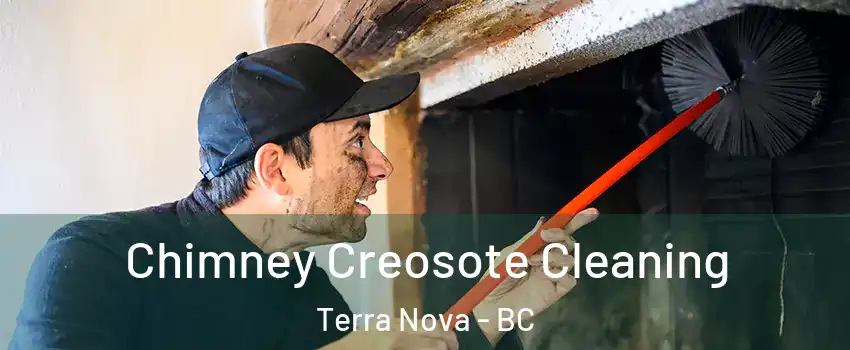  Chimney Creosote Cleaning Terra Nova - BC