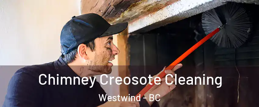  Chimney Creosote Cleaning Westwind - BC