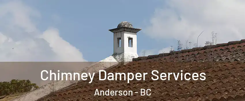  Chimney Damper Services Anderson - BC
