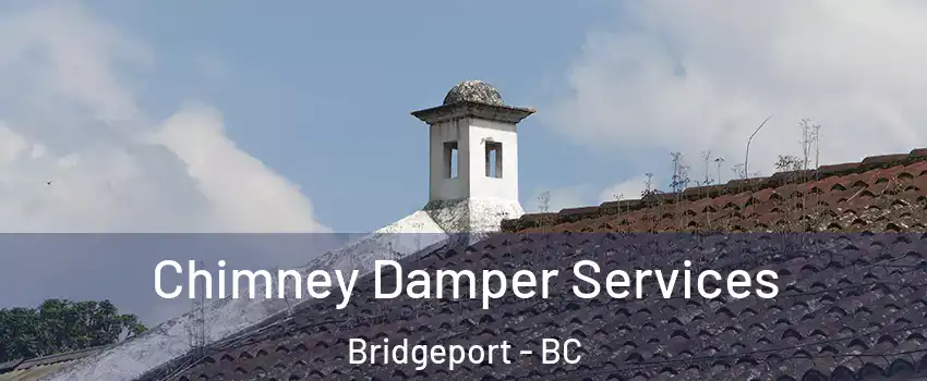  Chimney Damper Services Bridgeport - BC