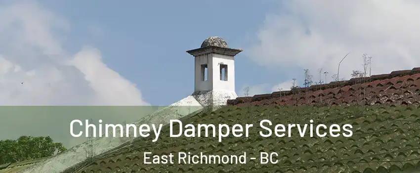  Chimney Damper Services East Richmond - BC