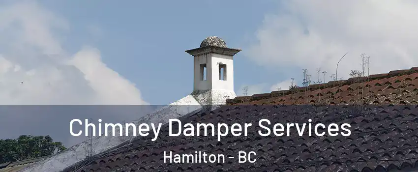  Chimney Damper Services Hamilton - BC
