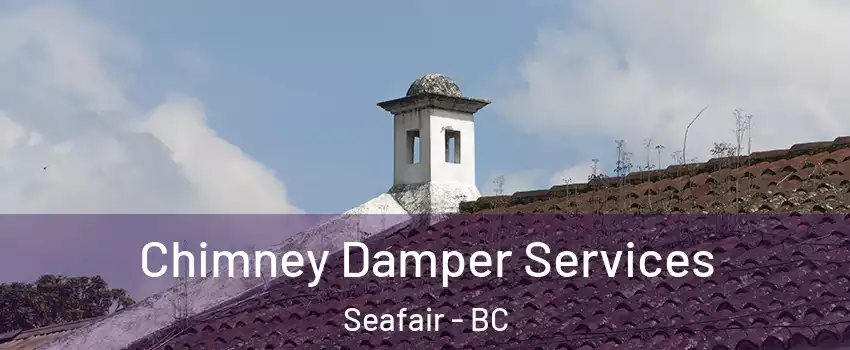  Chimney Damper Services Seafair - BC