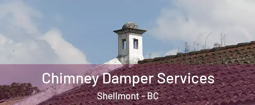  Chimney Damper Services Shellmont - BC