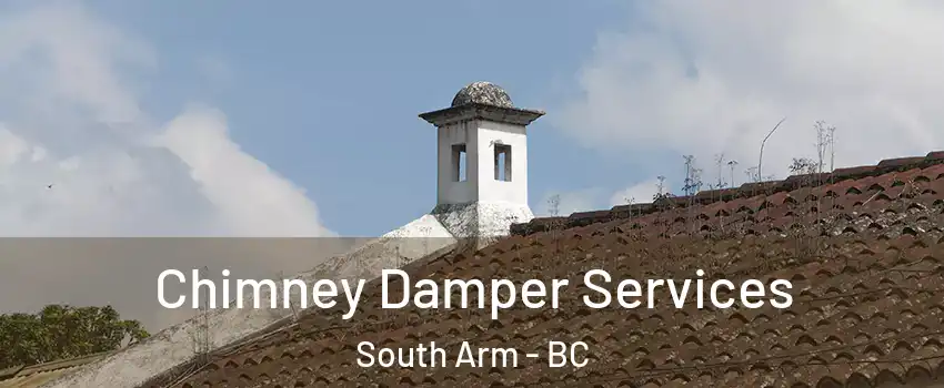  Chimney Damper Services South Arm - BC