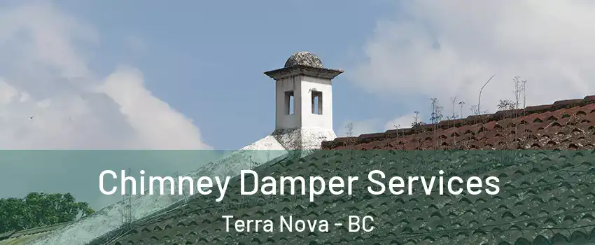  Chimney Damper Services Terra Nova - BC