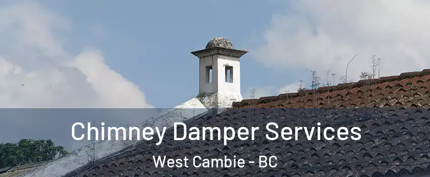  Chimney Damper Services West Cambie - BC