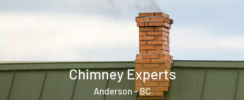 Chimney Experts Anderson - BC
