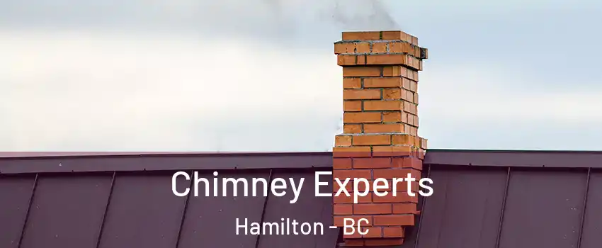 Chimney Experts Hamilton - BC