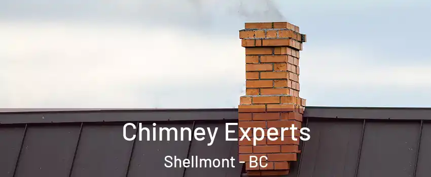 Chimney Experts Shellmont - BC