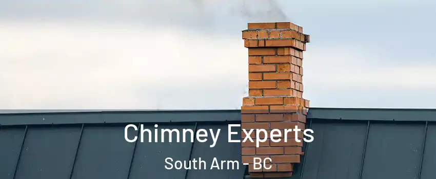 Chimney Experts South Arm - BC