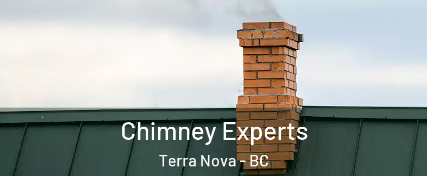 Chimney Experts Terra Nova - BC