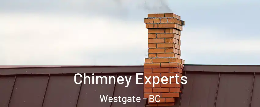 Chimney Experts Westgate - BC