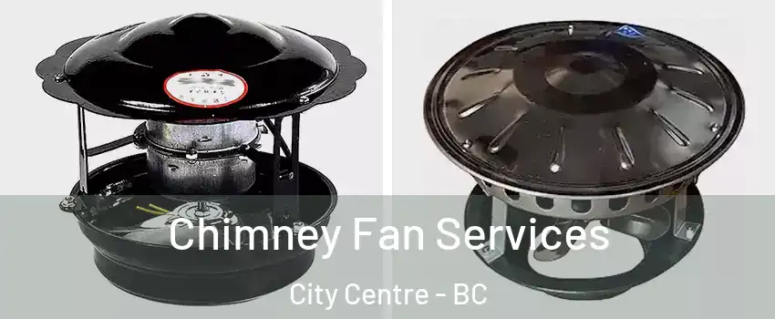  Chimney Fan Services City Centre - BC