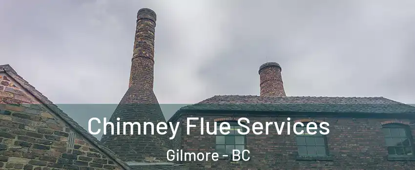  Chimney Flue Services Gilmore - BC