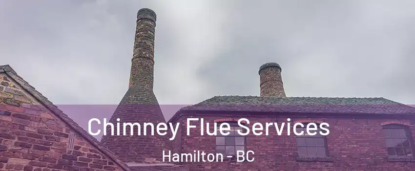  Chimney Flue Services Hamilton - BC