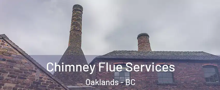  Chimney Flue Services Oaklands - BC