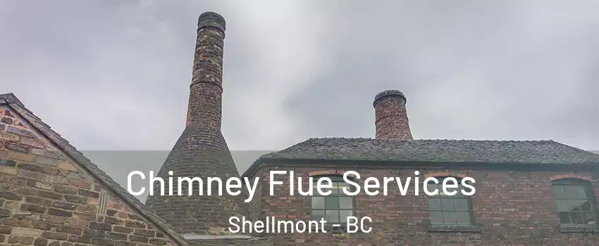  Chimney Flue Services Shellmont - BC