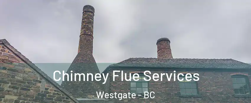  Chimney Flue Services Westgate - BC