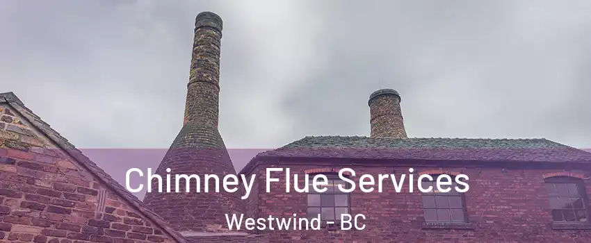  Chimney Flue Services Westwind - BC