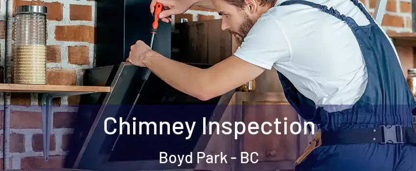  Chimney Inspection Boyd Park - BC